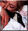 Dirty Bird the Canada Goose