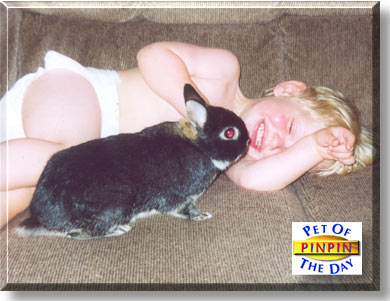 Pinpin, the Pet of the Day