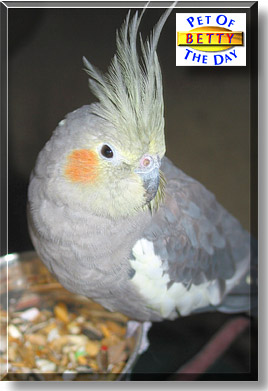 Betty, the Pet of the Day