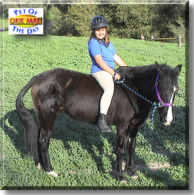 Okie Mae, the Pet of the Day