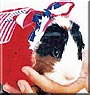 Marble the Guinea Pig