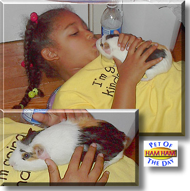 Ham Ham, the Pet of the Day
