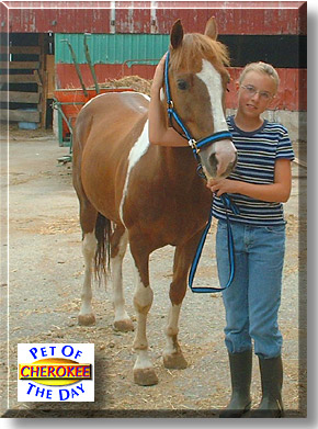 Cherokee, the Pet of the Day