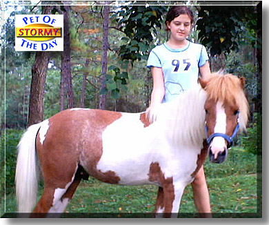 Stormy, the Pet of the Day