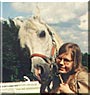 Alfie the Polish Arabian
