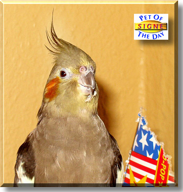 Signe, the Pet of the Day