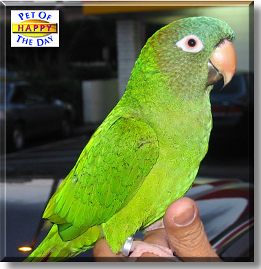 Happy, the Pet of the Day