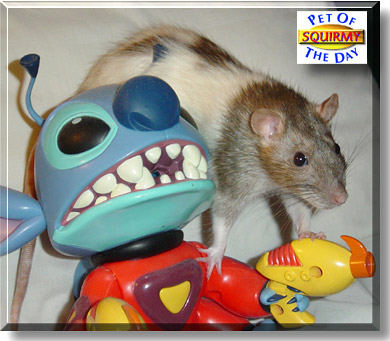 Squirmy, the Pet of the Day