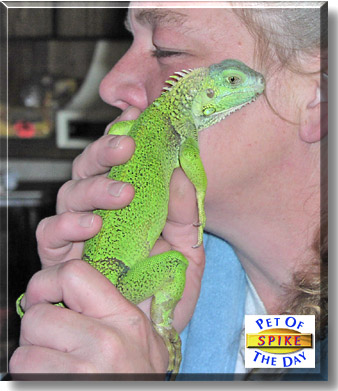 Spike, the Pet of the Day