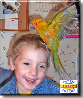 Fritz, the Pet of the Day