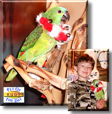 Rudy, the Pet of the Day