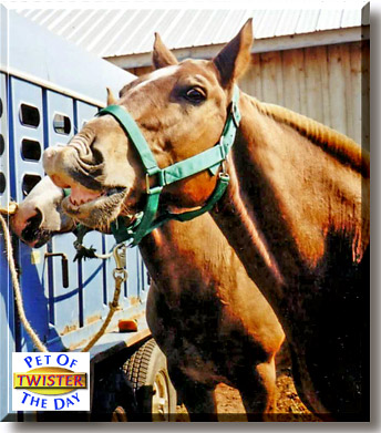 Twister, the Pet of the Day