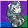 Lucky, Scooter the Ferret