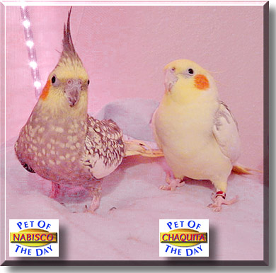 Nabisco, Chaquita, the Pet of the Day