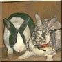 Boo, Wispy the Rabbit