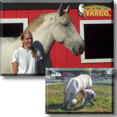 Fargo, the Pet of the Day