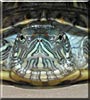 Leaduce the Red Eared Slider
