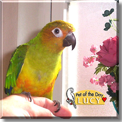 Lucy, the Pet of the Day