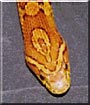 Den of Earth the keetee corn snake