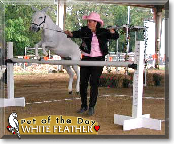 White Feather, the Pet of the Day