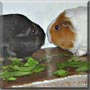 Leon, Ruby the Guinea Pigs