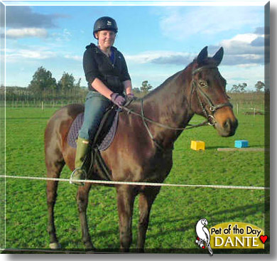 Dante, the Pet of the Day