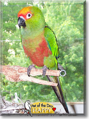 Tralaliszka, the Pet of the Day Happy, the Pet of the Day