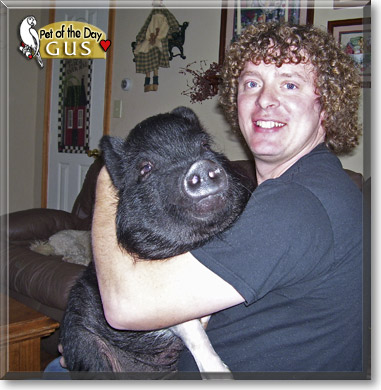 Gus, the Pet of the Day Gus, the Pet of the Day