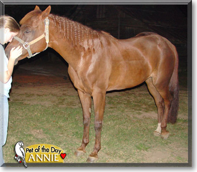 Annie, the Pet of the Day Annie, the Pet of the Day
