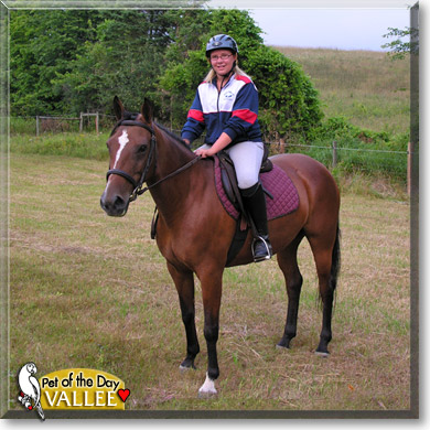 Vallee, the Pet of the Day Vallee, the Pet of the Day