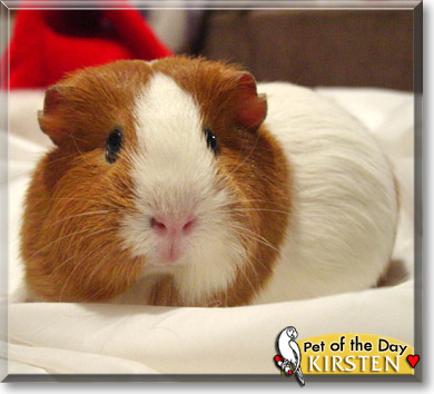 Kirsten, the Pet of the Day Kirsten, the Pet of the Day