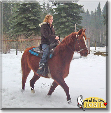 Josie, the Pet of the Day