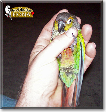 Fiona, the Pet of the Day