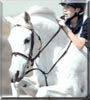 Ralphe the Arabian, Welsh Pony