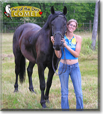 Comet, the Pet of the Day Comet, the Pet of the Day