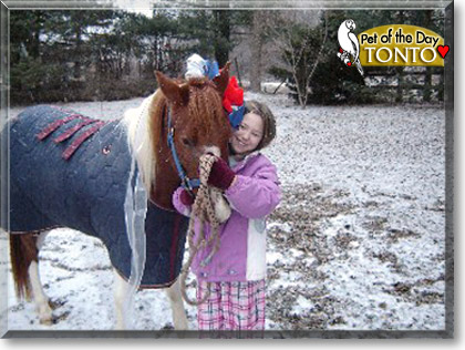 Tonto, the Pet of the Day Tonto, the Pet of the Day