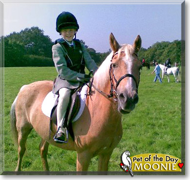 Moonie, the Pet of the Day Moonie, the Pet of the Day