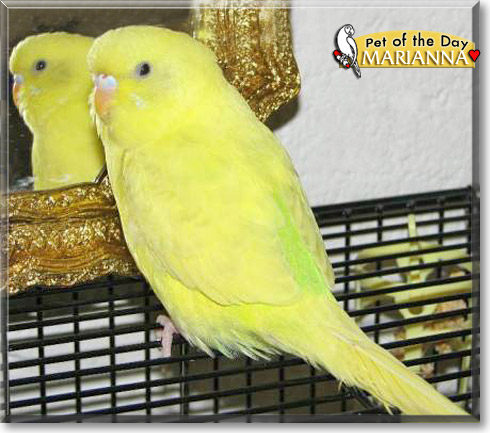 Marianna, the Pet of the Day