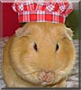 Peanut the Female