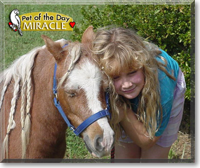 Miracle, the Pet of the Day Miracle, the Pet of the Day