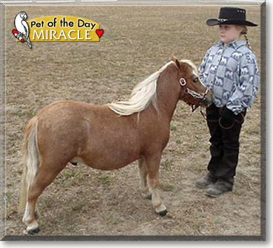 Miracle, the Pet of the Day