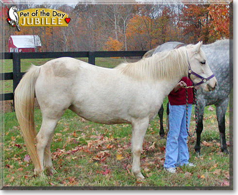 Jubilee, the Pet of the Day Jubilee, the Pet of the Day