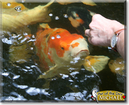 Michael, the Pet of the Day