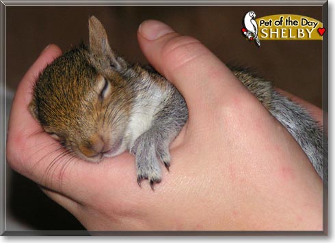 Michael, the Pet of the Day Michael, the Pet of the Day