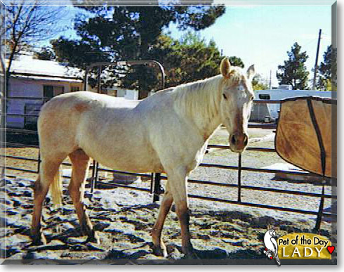 Lady, the Pet of the Day