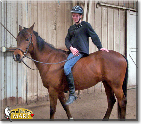 Mark, the Pet of the Day