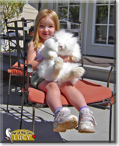Lucy, the Pet of the Day Lucy, the Pet of the Day