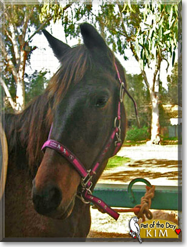 Kim, the Pet of the Day
