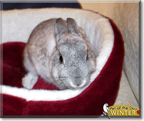 Rimmi and Winter, the Pet of the Day