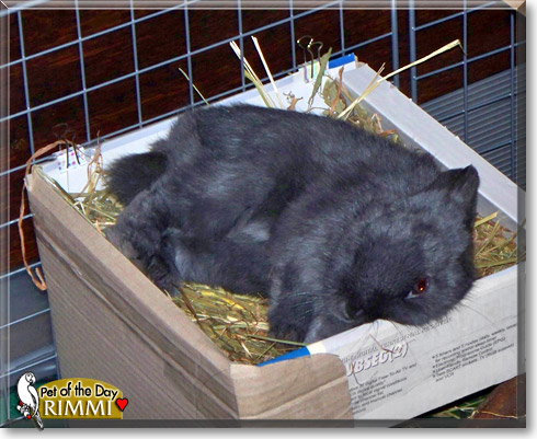 Rimmi and Winter, the Pet of the Day